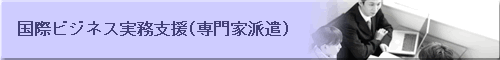 国際ビジネス実務支援(専門家派遣)